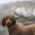 Paul Szabo's profile image