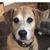 Roberta Wade's profile image