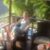 Tanya Magney's profile image