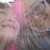Melissa Sandlin Gahagan's profile image