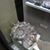Jonathan Seeber's profile image