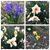 Julie Fisher-Bivens's profile image