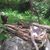 John Henon Sr.'s profile image