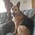 Derrick Van Roekel's profile image