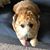 Yulya Le's profile image