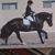 Melinda Lee-Stroud's profile image