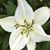 Paula Humphrey's profile image