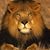 Tony Hopper's profile image
