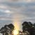 Sandra Brown's profile image