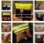 Kim Bickford's profile image