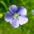 Donna Viers Niemann's profile image