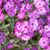 Julie An Uecker's profile image