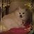 Kimberly Rogers's profile image