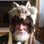 Robert Fowler's profile image