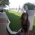 Karen Mally Anderson's profile image