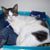 Jeff Dudiak's profile image