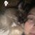 Kate Smith's profile image