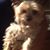 Janice Lawrence's profile image