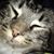 Kathleen Hurley's profile image