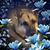 Cheri Mustacchia's profile image