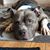 Tracie Longus's profile image