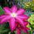 Diane Anderson's profile image