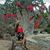 Angie Paz's profile image