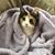 Terra Wiseman's profile image