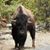 Don Spates's profile image