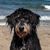 Eunice M Link's profile image