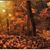 Donella Way Hess-Grabill's profile image