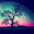 Kaitie McDow's profile image