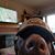 Larry Hansen's profile image