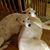 Nancy Ann's profile image