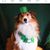Sandi Hess Simmons's profile image
