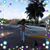 Deb Lewis's profile image
