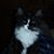 Brenda Bateman's profile image