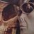 John E. Cecie's profile image