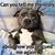 Jan Driscoll's profile image