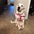 Meredith G. Stein's profile image