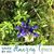 Betty Mahana Arrington's profile image