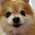 Susan Zeidler's profile image
