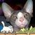Julie Martus W.'s profile image