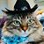 Julie Goheen's profile image