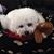 Paula Scott's profile image