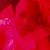Love Sponge's profile image