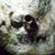 Belgrade Glendenning's profile image