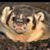 Michael Meyer's profile image
