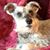 Margie Kohl's profile image
