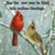 Dody Borton Myers's profile image